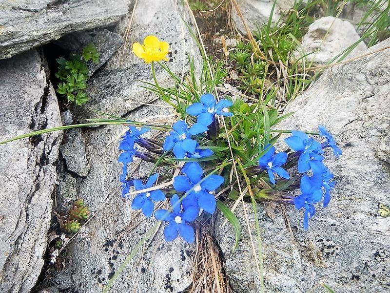 Appartamento Plattnerhof Fundres Esterno foto